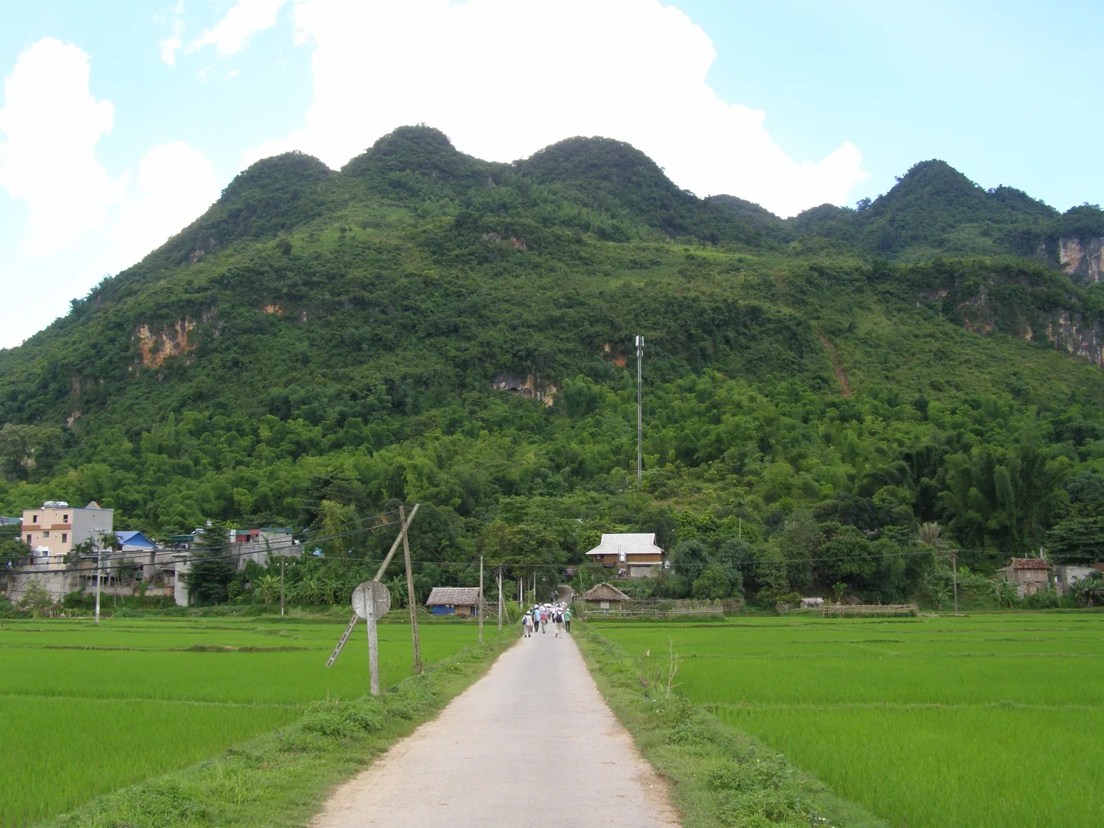 A group walks a narrow road through green rice fields toward limestone mountains in Mai Chau, Vietnam. A group walks a narrow road through green rice fields toward limestone mountains in Mai Chau, Vietnam.