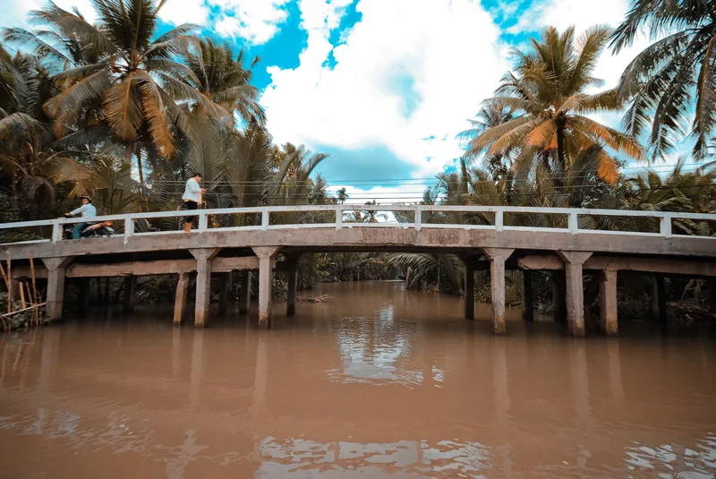 A concrete bridge lined with palm trees crosses a muddy canal in the Mekong Delta.