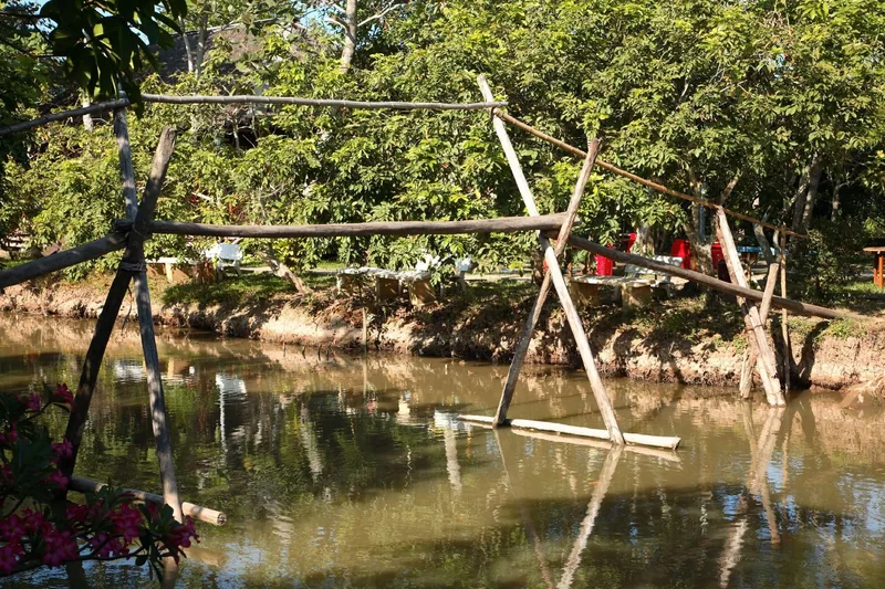 A rustic bamboo monkey bridge crosses a muddy canal lined with trees in the Mekong Delta near My Tho.
