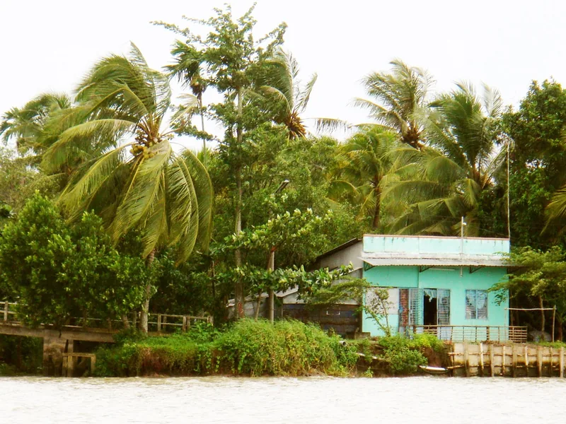 A turquoise house sits among coconut palms along a muddy river bank in the Mekong Delta.