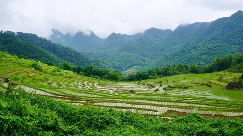 Water-filled rice terraces spread across a misty valley in Pu Luong, Vietnam.