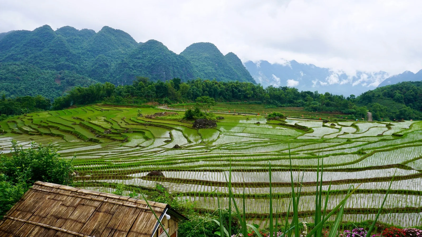 Water-filled rice terraces stretch across the valley floor beneath limestone mountains in Pu Luong.